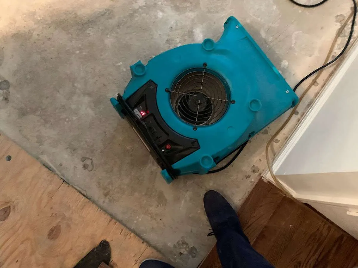 Air mover drying subfloor during Commercial Water Damage Restoration in Bear